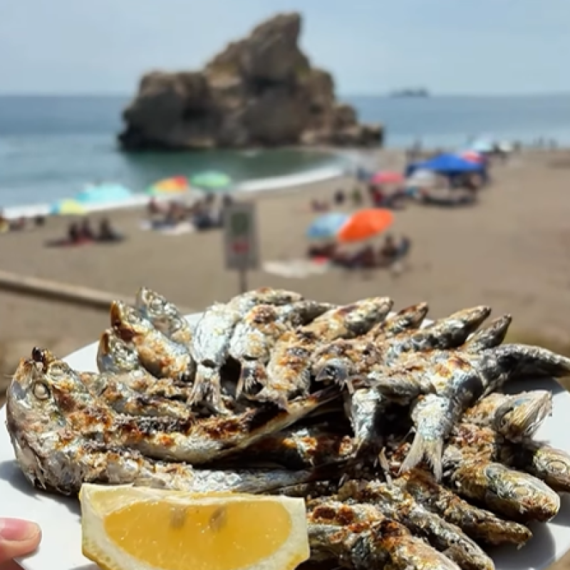 cuervo 2